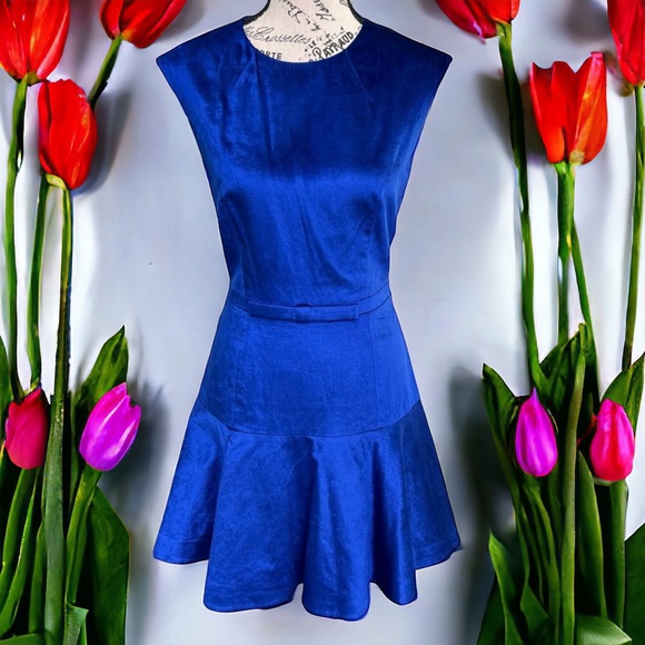 Ted Baker Dress - Picture 3 of 14